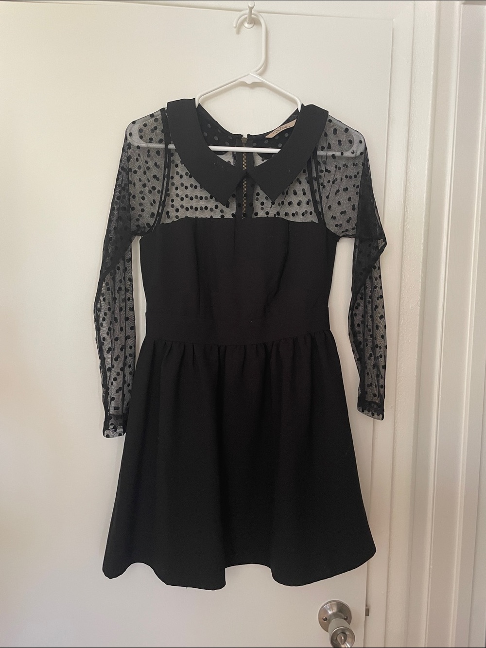 Black Polka Dot Mesh Sleeve Dress with Peter Pan Collar